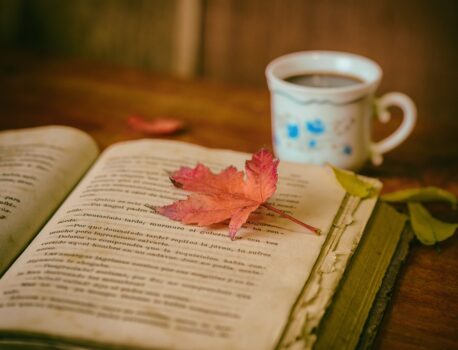 Choosing Your Niche – Finding Your Profitable Passion