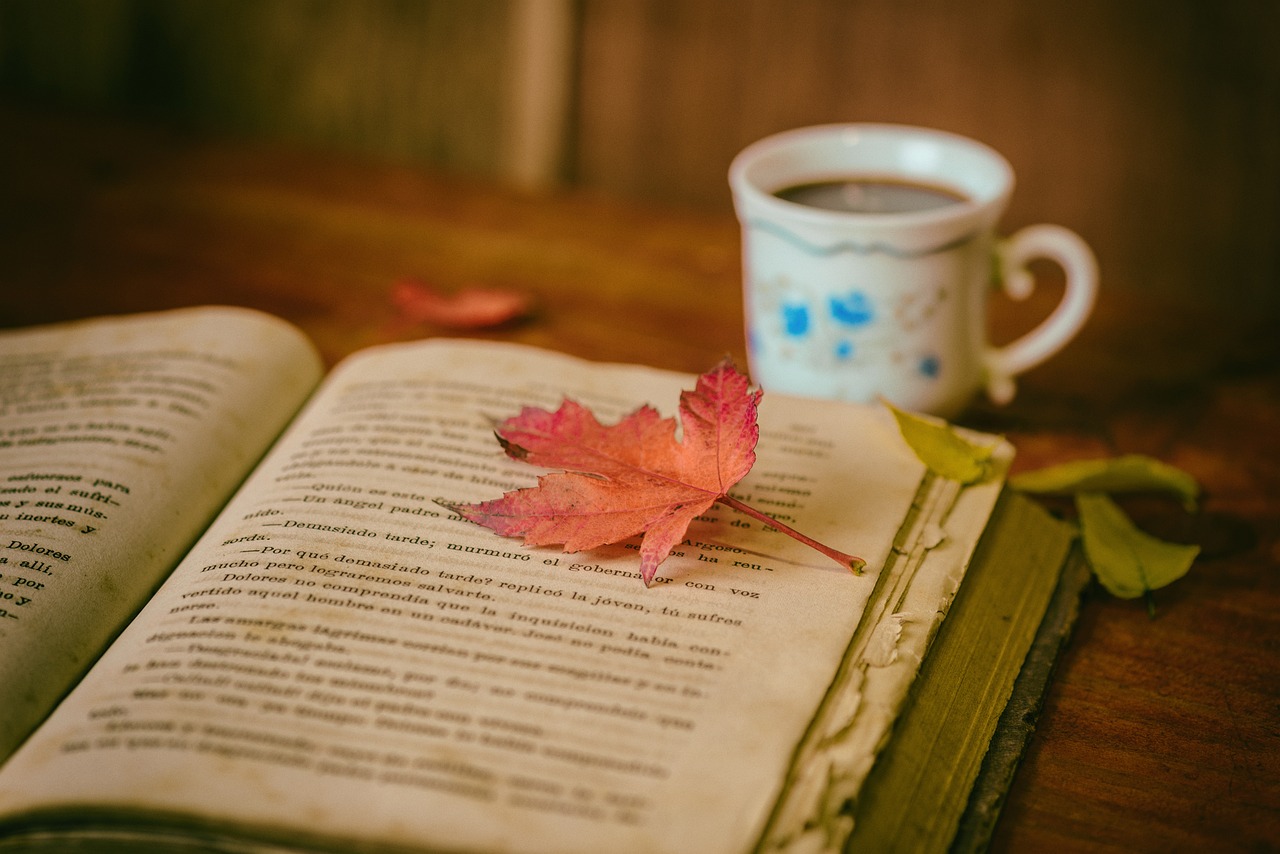 Choosing Your Niche – Finding Your Profitable Passion